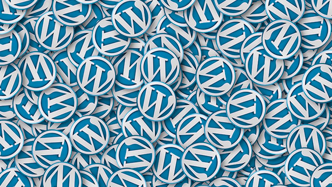WordPress 系列第九篇：依托 RakSmart 应用中心，一键快速部署商用 WP 站点